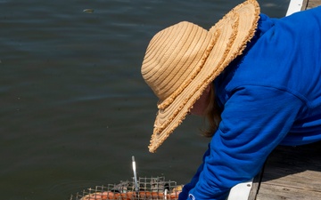 JBAB’s environmental team executes a freshwater mussel deployment in Potomac