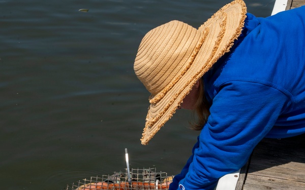 JBAB’s environmental team executes a freshwater mussel deployment in Potomac