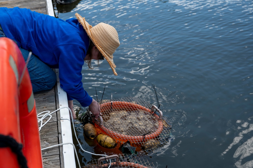 JBAB’s environmental team executes a freshwater mussel deployment in Potomac