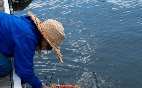 JBAB’s environmental team executes a freshwater mussel deployment in Potomac