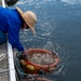JBAB’s environmental team executes a freshwater mussel deployment in Potomac