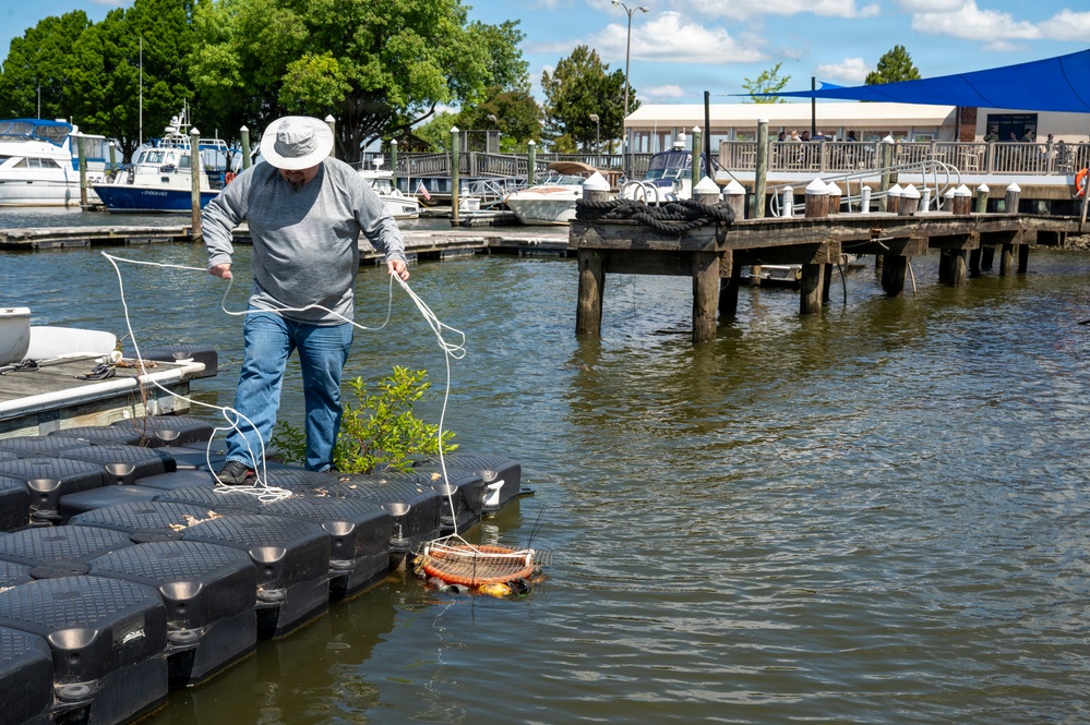 JBAB’s environmental team executes a freshwater mussel deployment in Potomac