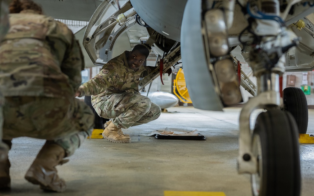 Belgian partners join 52nd Fighter Wing for Exercise Radiant Falcon