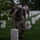 Flags In May 21, 2026 Flags In May 21, 2026
