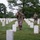 Flags In May 21, 2026 Flags In May 21, 2026