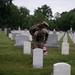 Flags In May 21, 2026