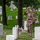 Flags In May 21, 2026 Flags In May 21, 2026
