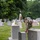 Flags In May 21, 2026 Flags In May 21, 2026
