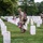 Flags In May 21, 2026 Flags In May 21, 2026