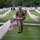 Flags In May 21, 2026 Flags In May 21, 2026