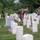 Flags In May 21, 2026 Flags In May 21, 2026