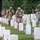Flags In May 21, 2026 Flags In May 21, 2026