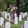 Flags In May 21, 2026 Flags In May 21, 2026