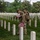 Flags In May 21, 2026 Flags In May 21, 2026