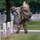 Flags In May 21, 2026 Flags In May 21, 2026