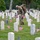 Flags In May 21, 2026 Flags In May 21, 2026