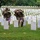 Flags In May 21, 2026 Flags In May 21, 2026