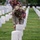 Flags In May 21, 2026 Flags In May 21, 2026