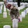 Flags In May 21, 2026 Flags In May 21, 2026