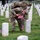 Flags In May 21, 2026 Flags In May 21, 2026