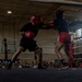 Week of the Eagles Boxing Day 3