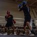 Week of the Eagles Boxing Day 3