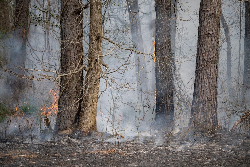 Arnold AFB Natural Resources completes successful prescribed burn season