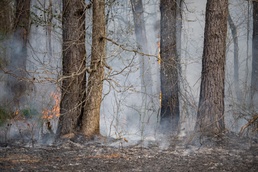 Arnold AFB Natural Resources completes successful prescribed burn season