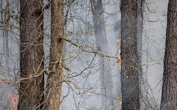 Arnold AFB Natural Resources completes successful prescribed burn season
