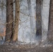Arnold AFB Natural Resources completes successful prescribed burn season