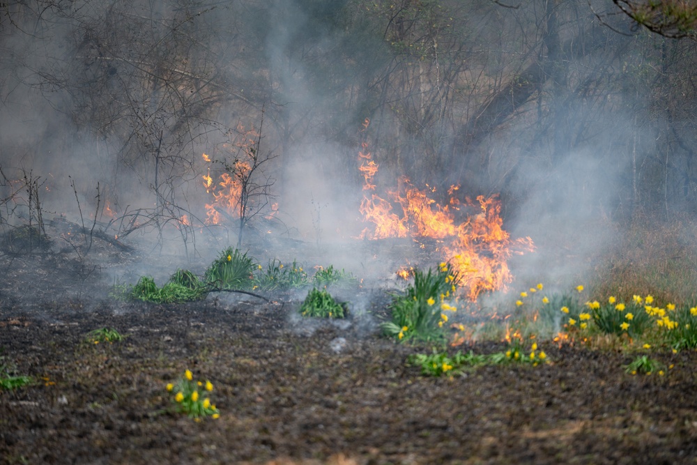 Arnold AFB Natural Resources completes successful prescribed burn season