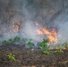 Arnold AFB Natural Resources completes successful prescribed burn season