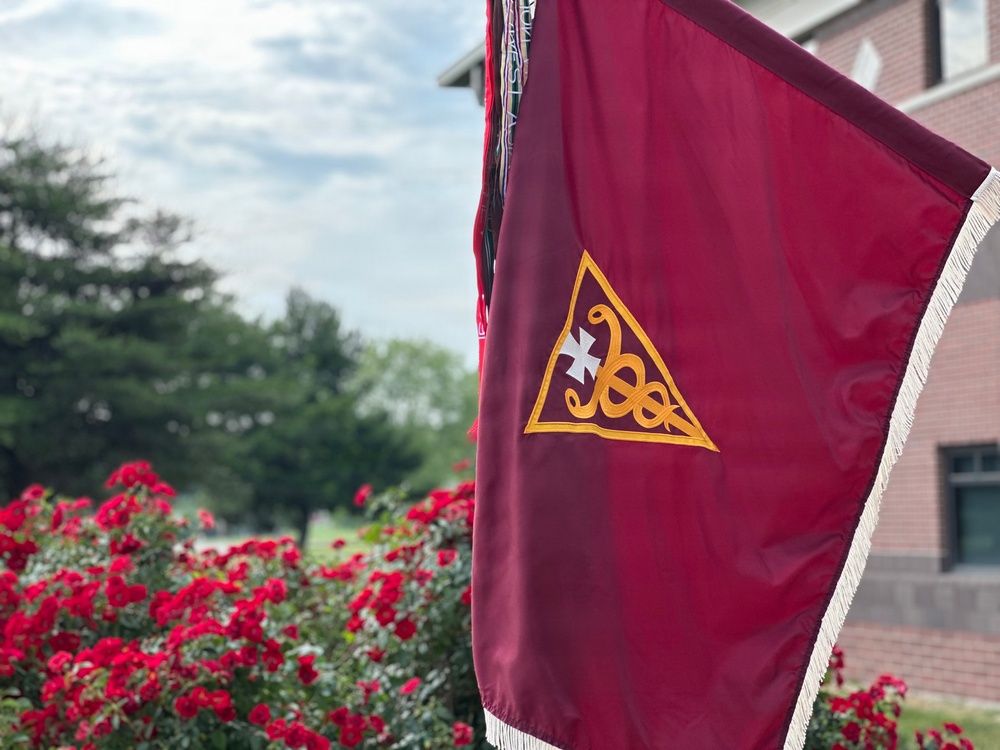 3d Theater Medical Command flag displayed outdoors