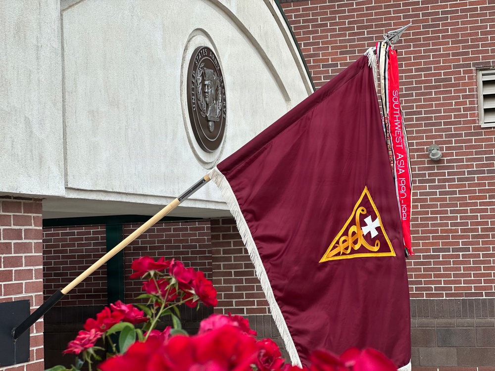 3d Theater Medical Command flag displayed outdoors