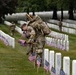 The Old Guard participates in &amp;quot;Flags In&amp;quot; to Remember the Fallen