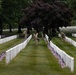 The Old Guard participates in &amp;quot;Flags In&amp;quot; to Remember the Fallen