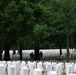 The Old Guard participates in &amp;quot;Flags In&amp;quot; to Remember the Fallen