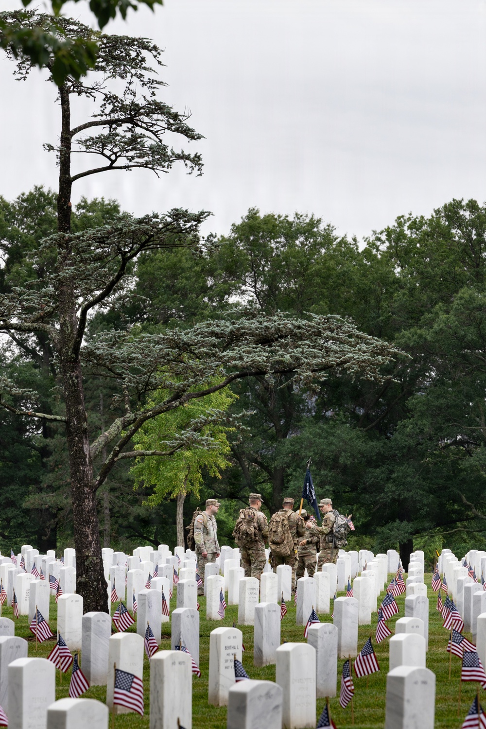 The Old Guard participates in &amp;quot;Flags In&amp;quot; to Remember the Fallen