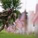 Flags In at Arlington National Cemetery 2026&amp;#x9;