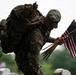 Flags In at Arlington National Cemetery 2026&amp;#x9;