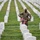 Flags In at Arlington National Cemetery 2026&amp;#x9;
