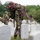 Flags In at Arlington National Cemetery 2026&amp;#x9;