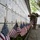 Flags In at Arlington National Cemetery 2026&amp;#x9;