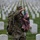 Flags In at Arlington National Cemetery 2026&amp;#x9;