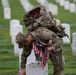 Flags In at Arlington National Cemetery 2026&amp;#x9;