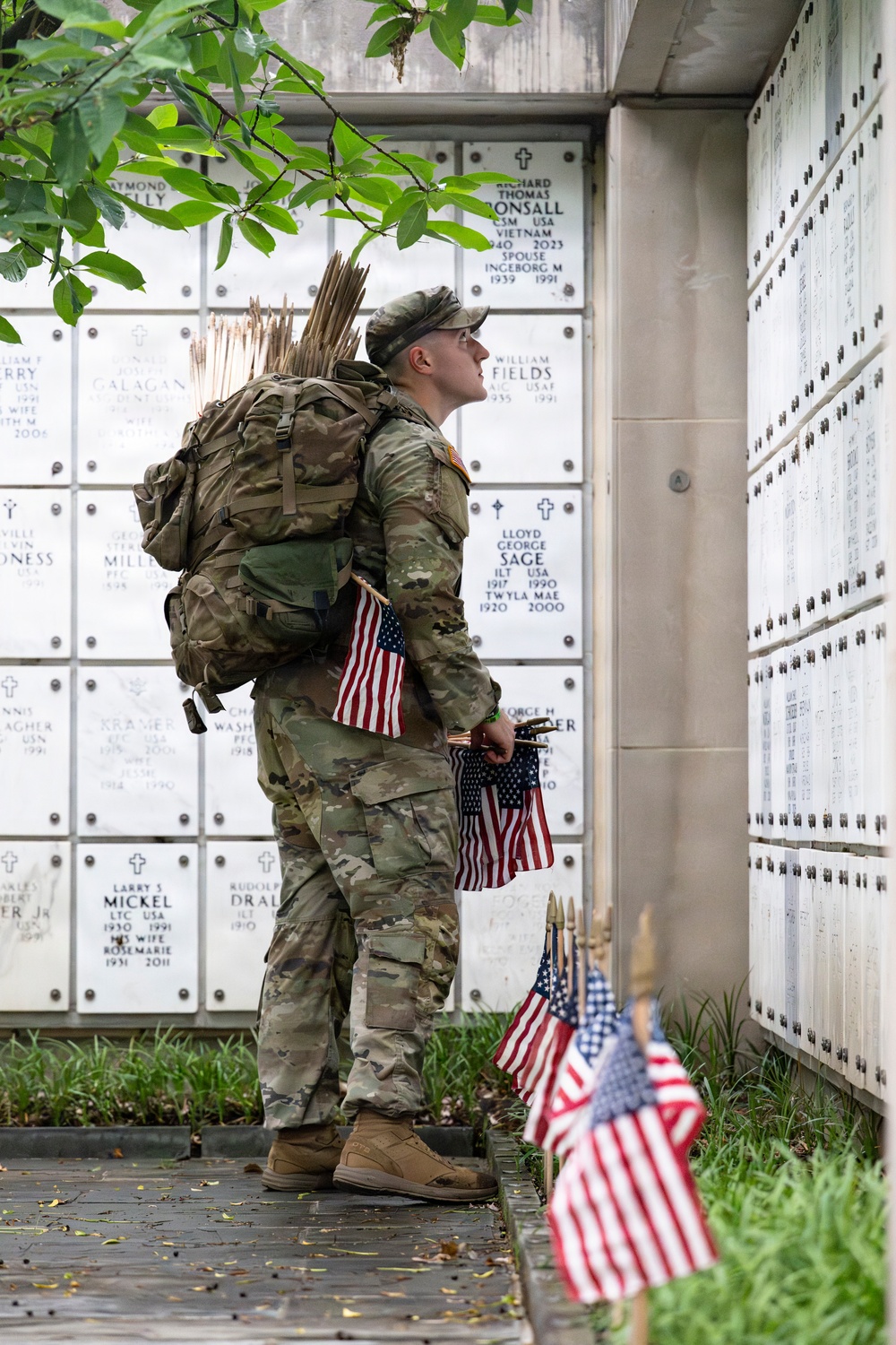 Flags In at Arlington National Cemetery 2026&amp;#x9;
