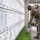 Flags In at Arlington National Cemetery 2026&amp;#x9;