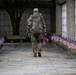 Flags In at Arlington National Cemetery 2026&amp;#x9;