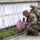 Flags In at Arlington National Cemetery 2026&amp;#x9;