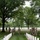 Flags In at Arlington National Cemetery 2026&amp;#x9;
